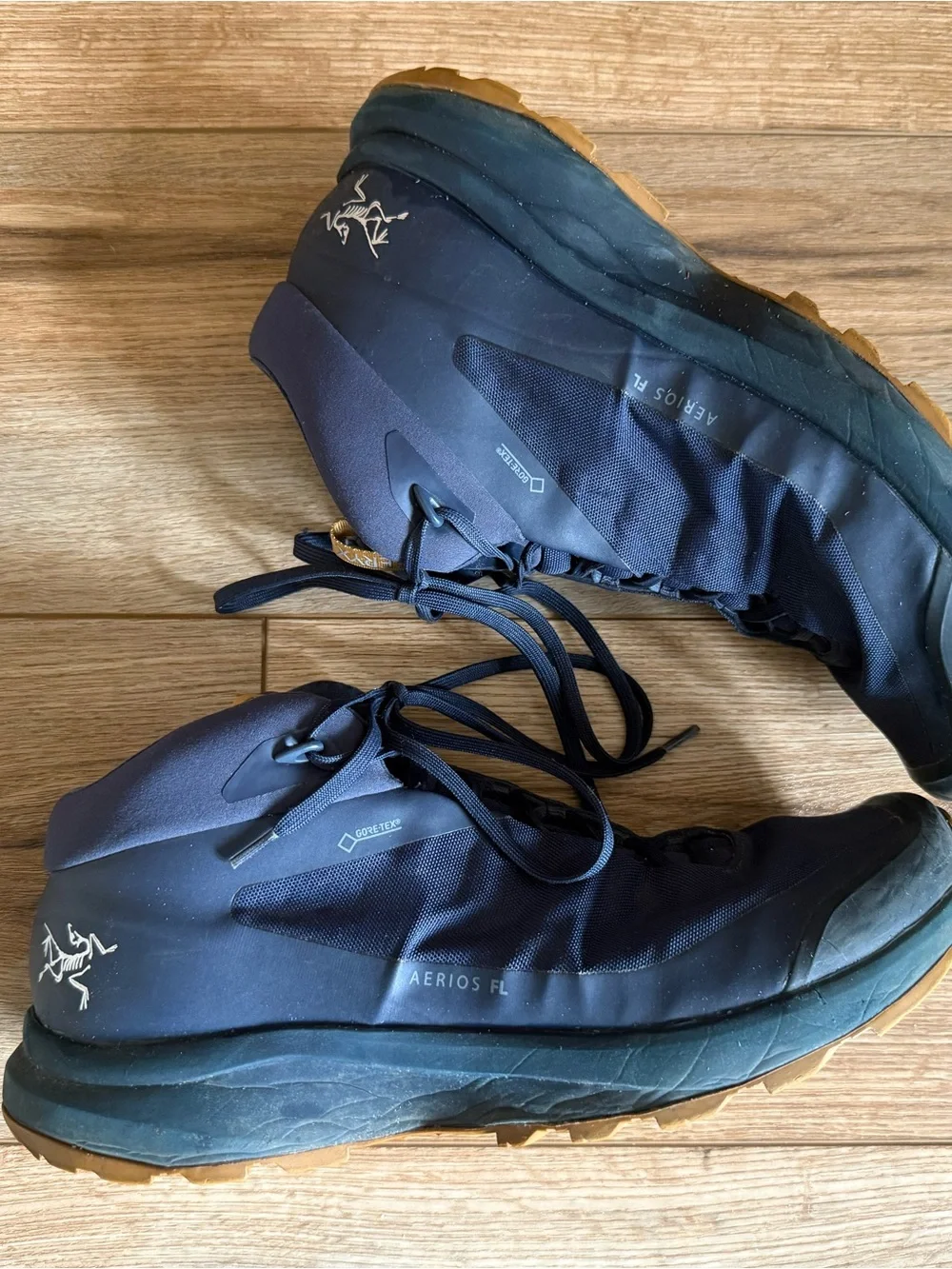 Arc'teryx Aerios FL Mid GTZ Hiking Shoe
